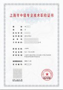 上海职称-化工（化工环保）